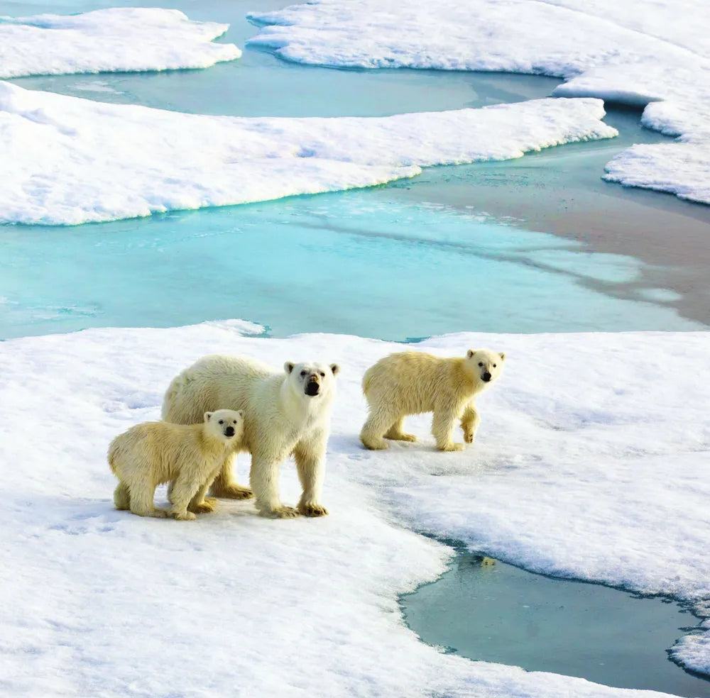 ロシアのカレンダー2026　ロシアの自然