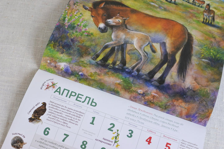 ロシアのカレンダー2026　ロシアの原生自然